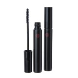 江原道 美しい マスカラ パーフェクト フィニッシュ ２本セット