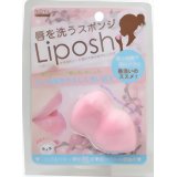 ڌ 炩  NOYL beauty |bV ppt X|W ObY