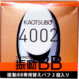 ڌ CNpt c{ϕi 4002UBBpւpt 2 x[XCN