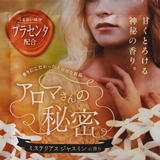 {fBPA A}̔閧 ~XeAXWX~̍ ̑