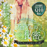 {fBPA A}̔閧