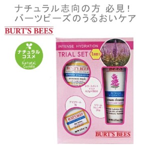 ێ 邨