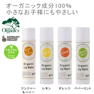 �i�`������ ���b�v�P�A